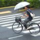 vélo-meurtre-tokyo-japon