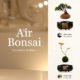 air-bonsai-kickstarter-bonsai-volant-levitation-Japon