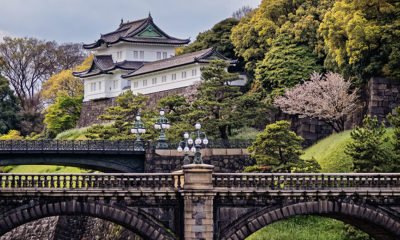 palais-imperial-tokyo-cerisiers-Japon
