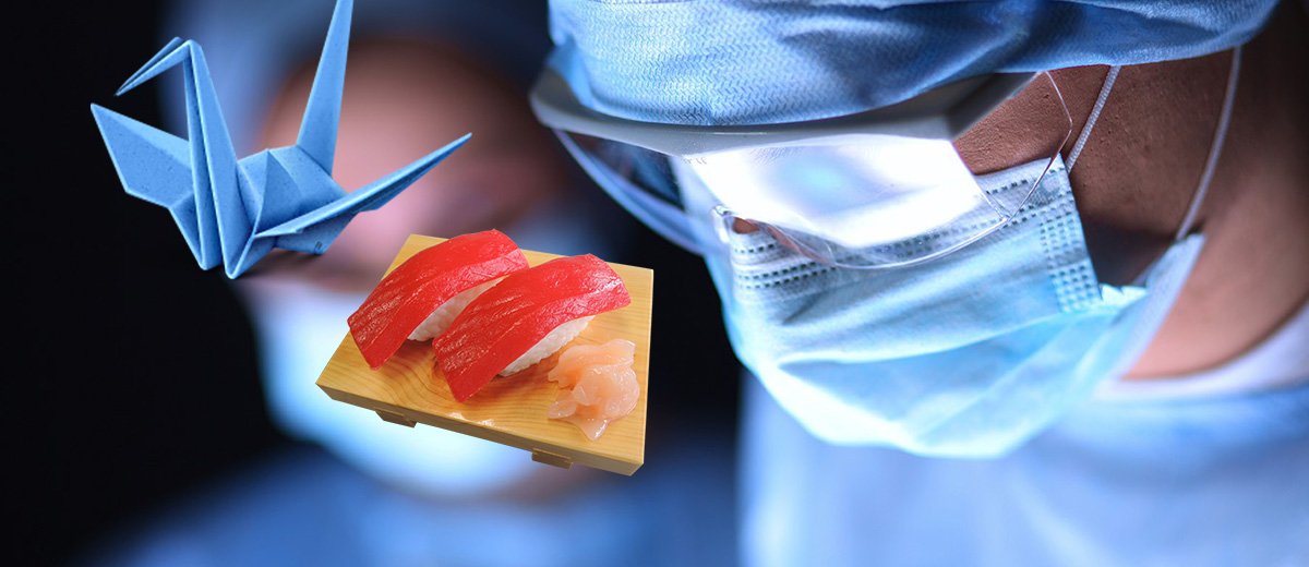 chirurgien-embauche-emploi-japon-sushi-origami-insecte