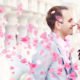 mariage-fleurs-cerisier-sakura