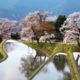 visiter-misugi-japon-prefecture-mie-inaka-tourism-hinotani-onsen